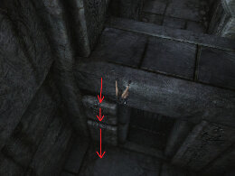 Tomb Raider Underworld Screenshot Komplettlösung