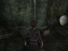 Tomb Raider Underworld Screenshot Komplettlösung