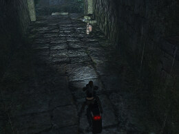 Tomb Raider Underworld Screenshot Komplettlösung