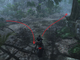 Tomb Raider Underworld Screenshot Komplettlösung
