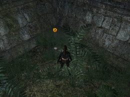 Tomb Raider Underworld Screenshot Komplettlösung