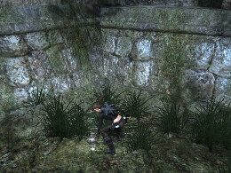 Tomb Raider Underworld Screenshot Komplettlösung