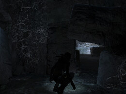 Tomb Raider Underworld Screenshot Komplettlösung