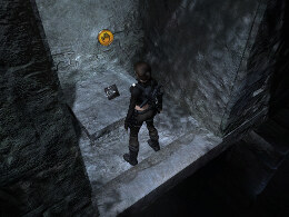 Tomb Raider Underworld Screenshot Komplettlösung