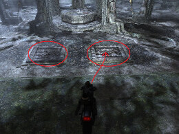 Tomb Raider Underworld Screenshot Komplettlösung