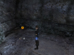 Tomb Raider Underworld Screenshot Komplettlösung