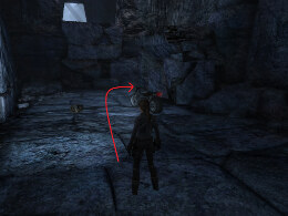 Tomb Raider Underworld Screenshot Komplettlösung