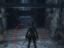 Tomb Raider Underworld Screenshot Komplettlösung