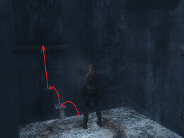 Tomb Raider Underworld Screenshot Komplettlösung