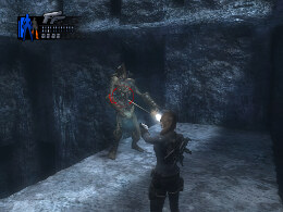 Tomb Raider Underworld Screenshot Komplettlösung