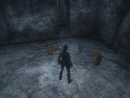 Tomb Raider Underworld Screenshot Komplettlösung