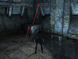 Tomb Raider Underworld Screenshot Komplettlösung