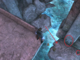 Tomb Raider Underworld Screenshot Komplettlösung