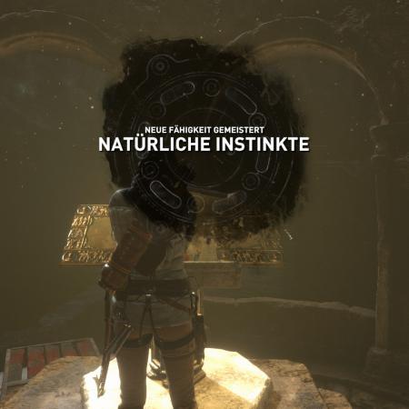 Größeres Bild anzeigen
